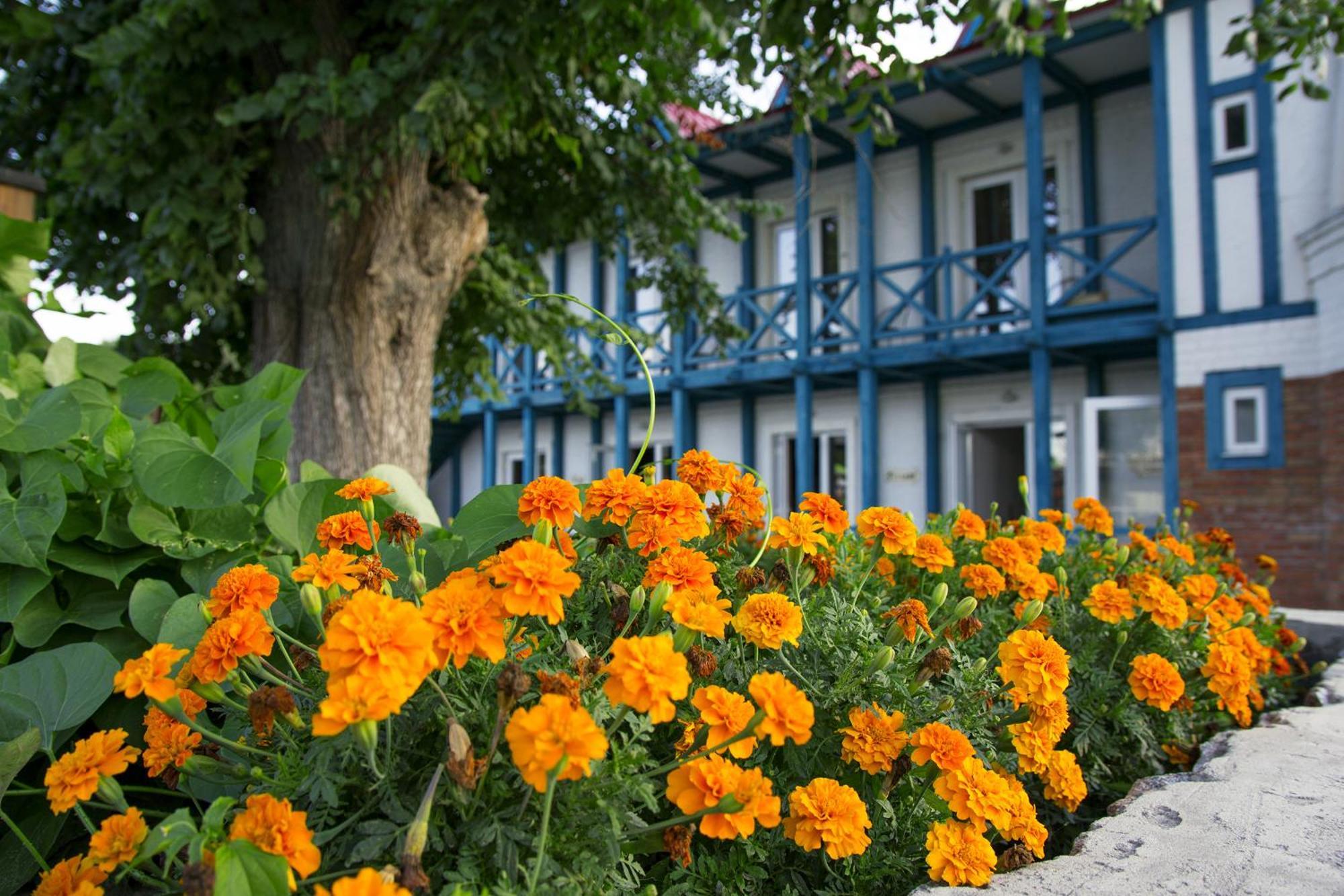 Mayak Resort Kam'yani Potoky Buitenkant foto